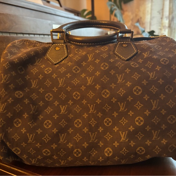 Louis Vuitton MiNi Lin Speedy 30 handbag in Ebene canvas